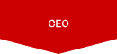 CEO